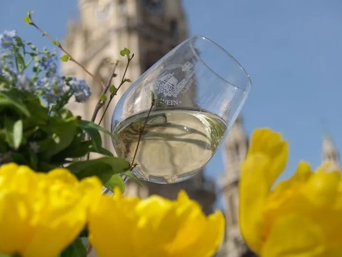 Weinglas vor dem Wiener Rathaus, davor gelbe Tulpen