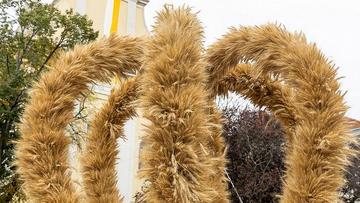 Großes Bild anzeigen