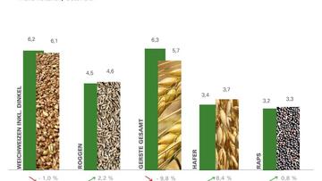 Großes Bild anzeigen