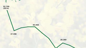 Großes Bild anzeigen