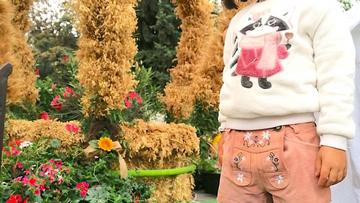 Großes Bild anzeigen