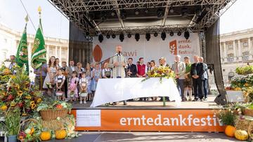 Großes Bild anzeigen