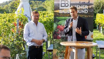 Großes Bild anzeigen