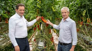 Großes Bild anzeigen