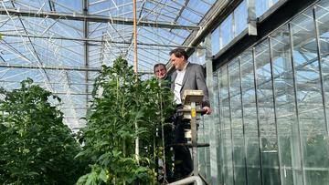 Großes Bild anzeigen