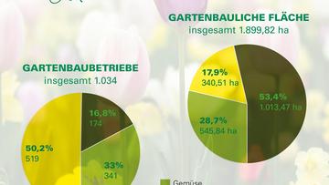Großes Bild anzeigen