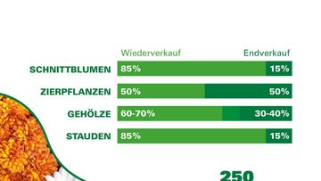 Großes Bild anzeigen