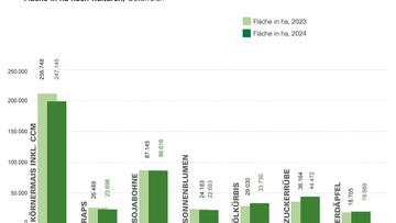 Großes Bild anzeigen