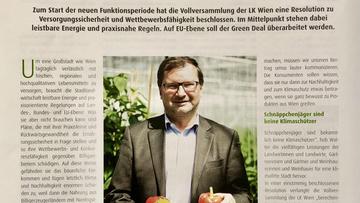 Großes Bild anzeigen