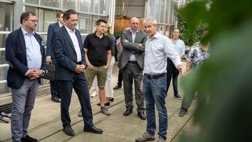 Großes Bild anzeigen