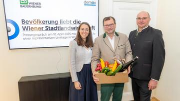 Großes Bild anzeigen