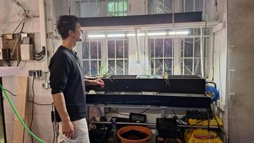 Großes Bild anzeigen