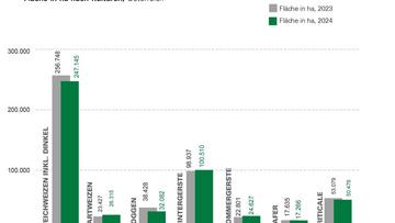 Großes Bild anzeigen