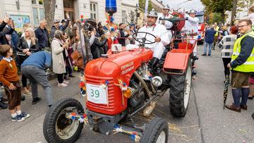 Großes Bild anzeigen