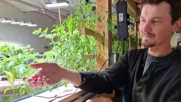 Großes Bild anzeigen