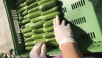 Großes Bild anzeigen