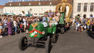 Großes Bild anzeigen