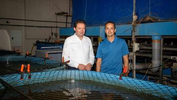 Großes Bild anzeigen