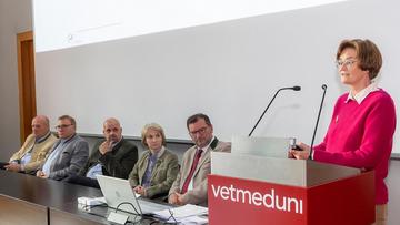 Großes Bild anzeigen