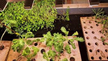 Großes Bild anzeigen