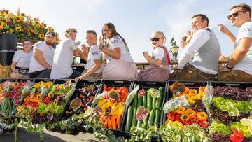 Großes Bild anzeigen