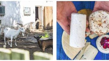 Großes Bild anzeigen