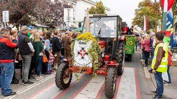 Großes Bild anzeigen
