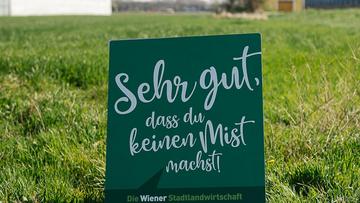 Großes Bild anzeigen