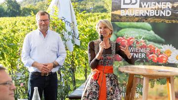 Großes Bild anzeigen