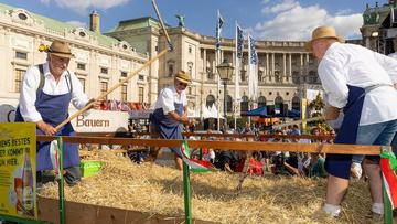 Großes Bild anzeigen